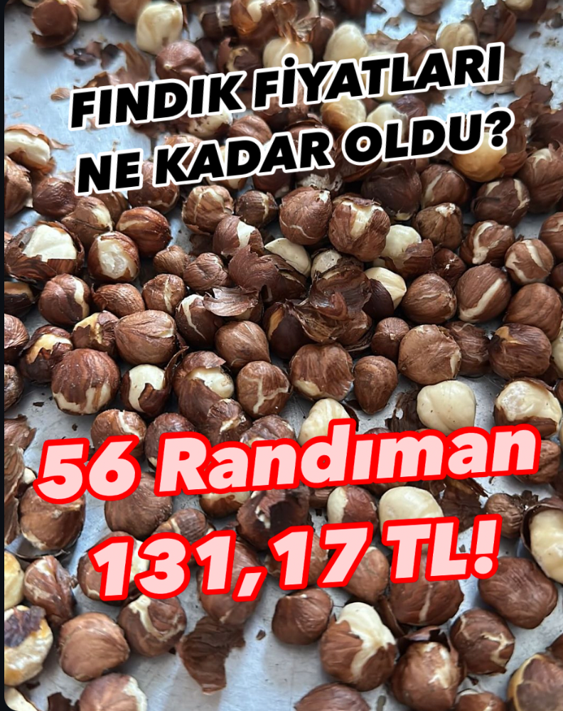 56 RANDIMAN FINDIK 131 TL