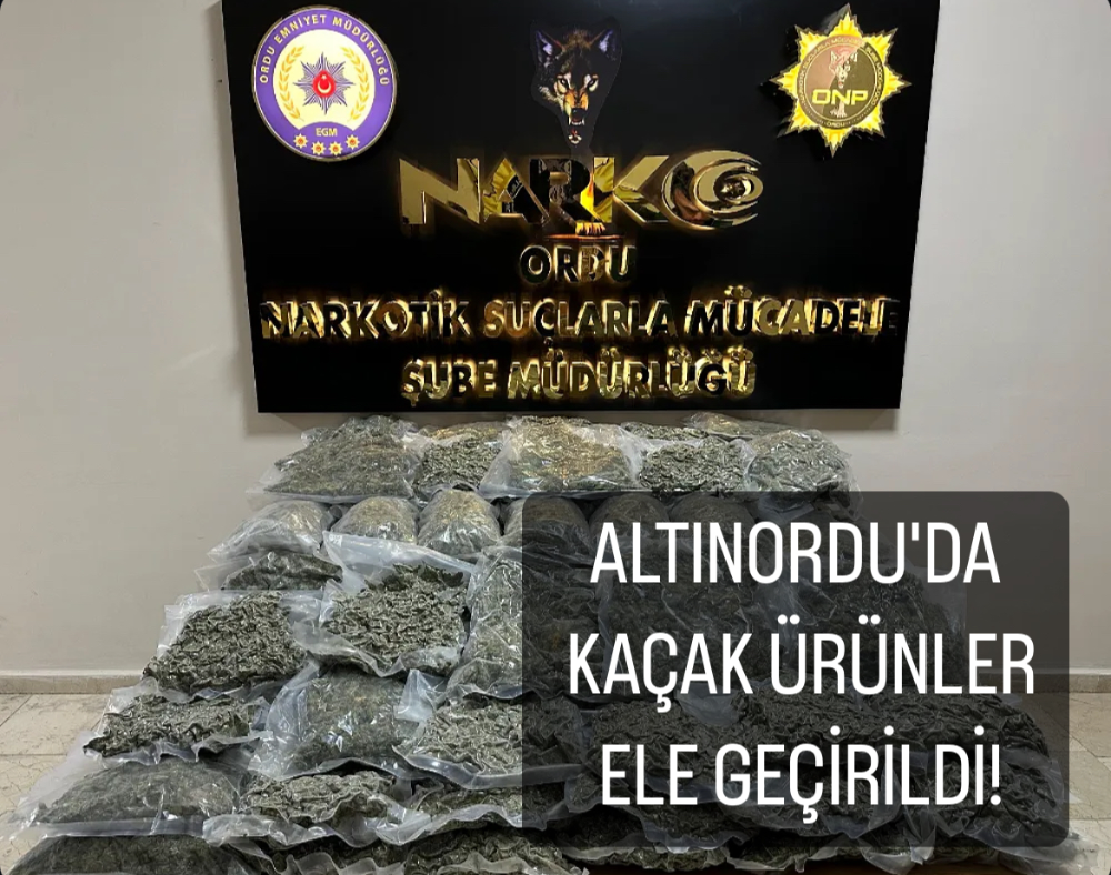 ALTINORDU