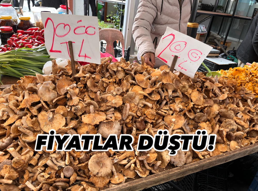 FİYATLAR DÜŞTÜ! 