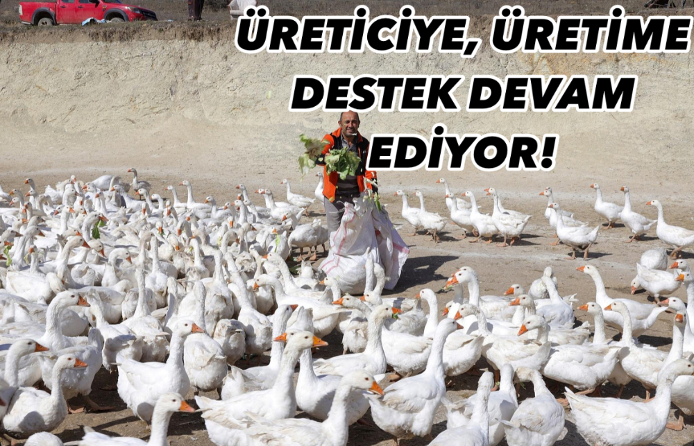 BÜYÜKŞEHİR ÜRETENİ DESTEKLİYOR! 