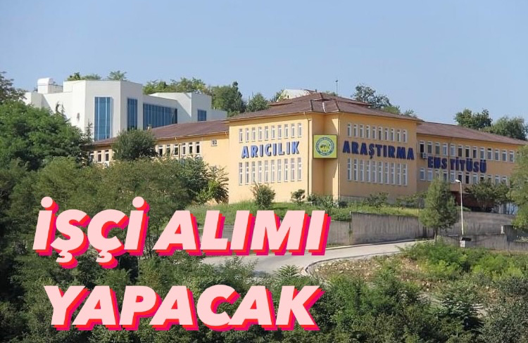 ORDU’DA 16 İŞÇİ ALIMI OLACAK 